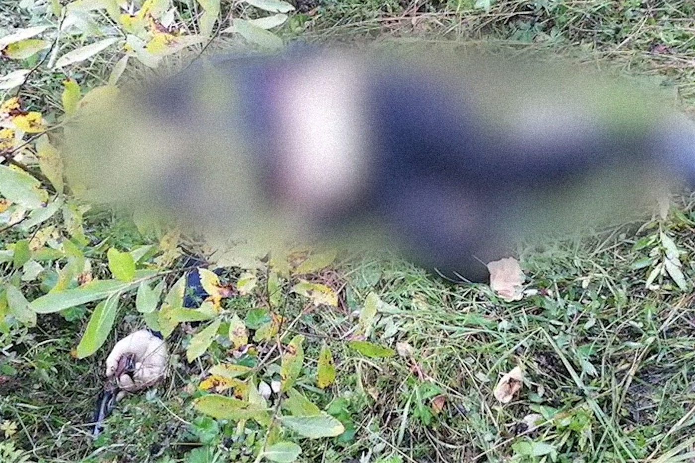 Screenshot from the FSB footage showing the body of a murdered person