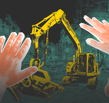 &laquo;Настало время вернуть долги природе&raquo;