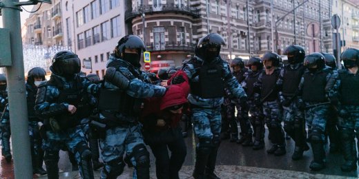 Координатор юридической помощи ОВД-Инфо Алла Фролова об акции протеста 23 января