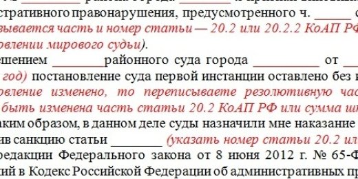 Опубликован типовой документ для обжалования штрафов за участие в митингах