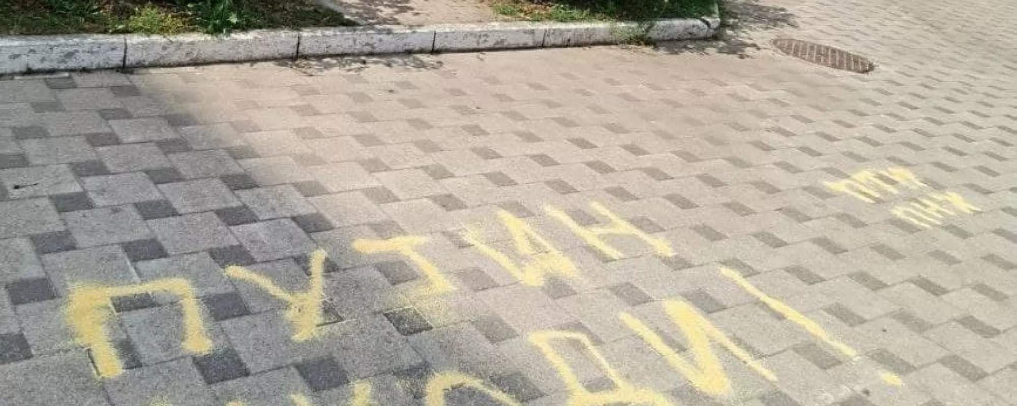 На активиста из Воронежа составили протокол по «митинговой» статье за надпись пшеном