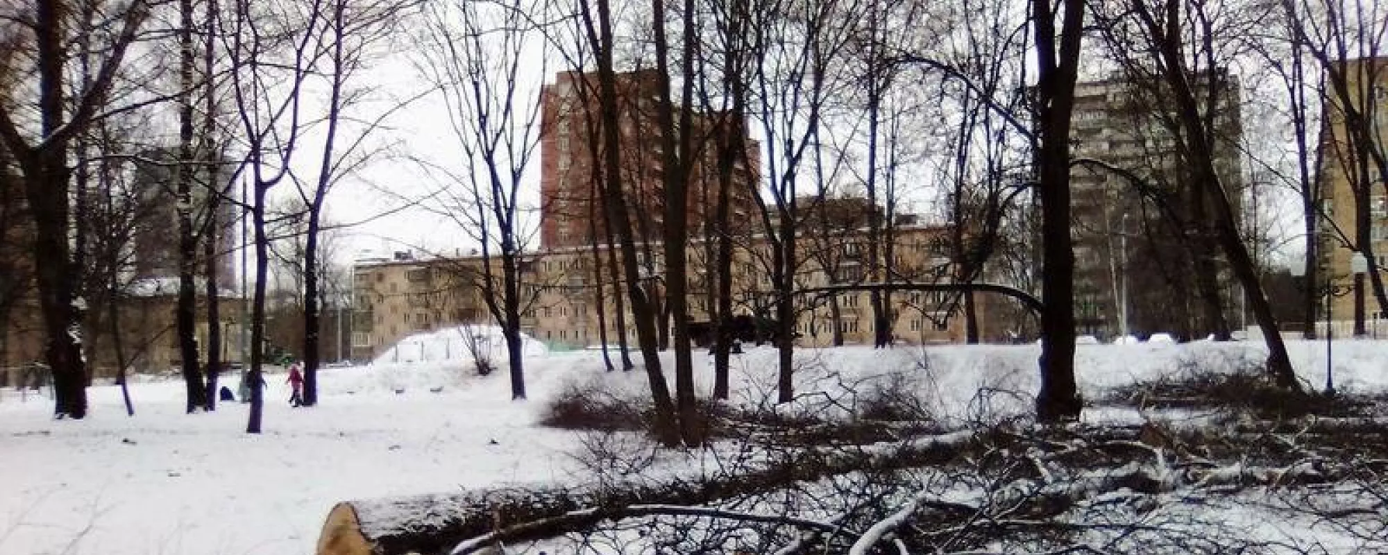 В Москве задержали участников встречи с местным самоуправлением по поводу вырубки деревьев
