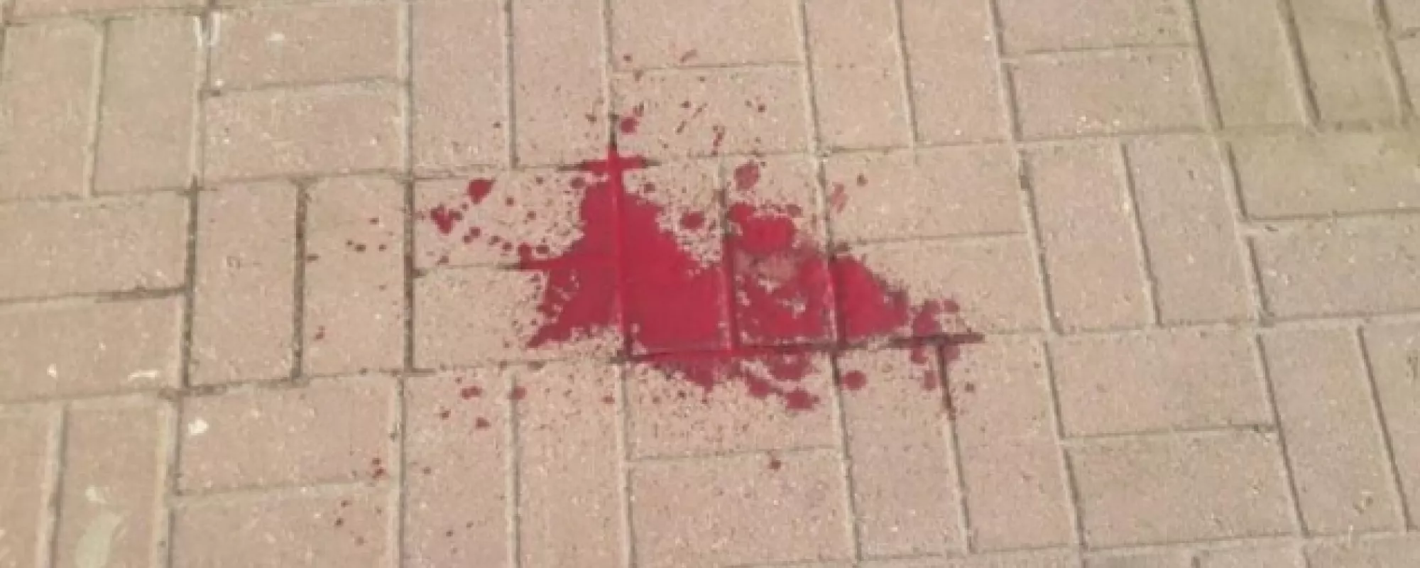 Совместное заявление в связи с преступлениями в отношении наблюдателей на выборах