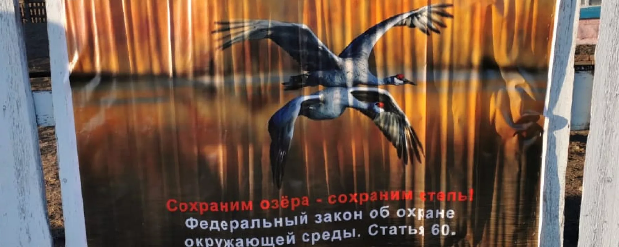 Жительницу Хакасии вызвали в прокуратуру из-за сохраненных 6 лет назад во «ВКонтакте» видеороликов