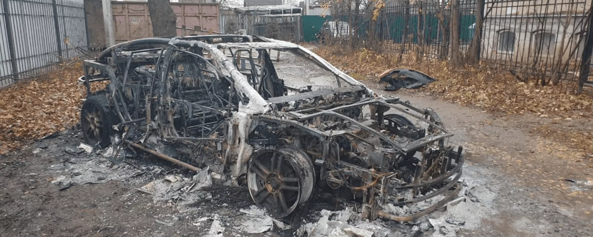 В Петербурге борцу с вырубкой деревьев сожгли машину. Полицейские предложили ему пройти полиграф