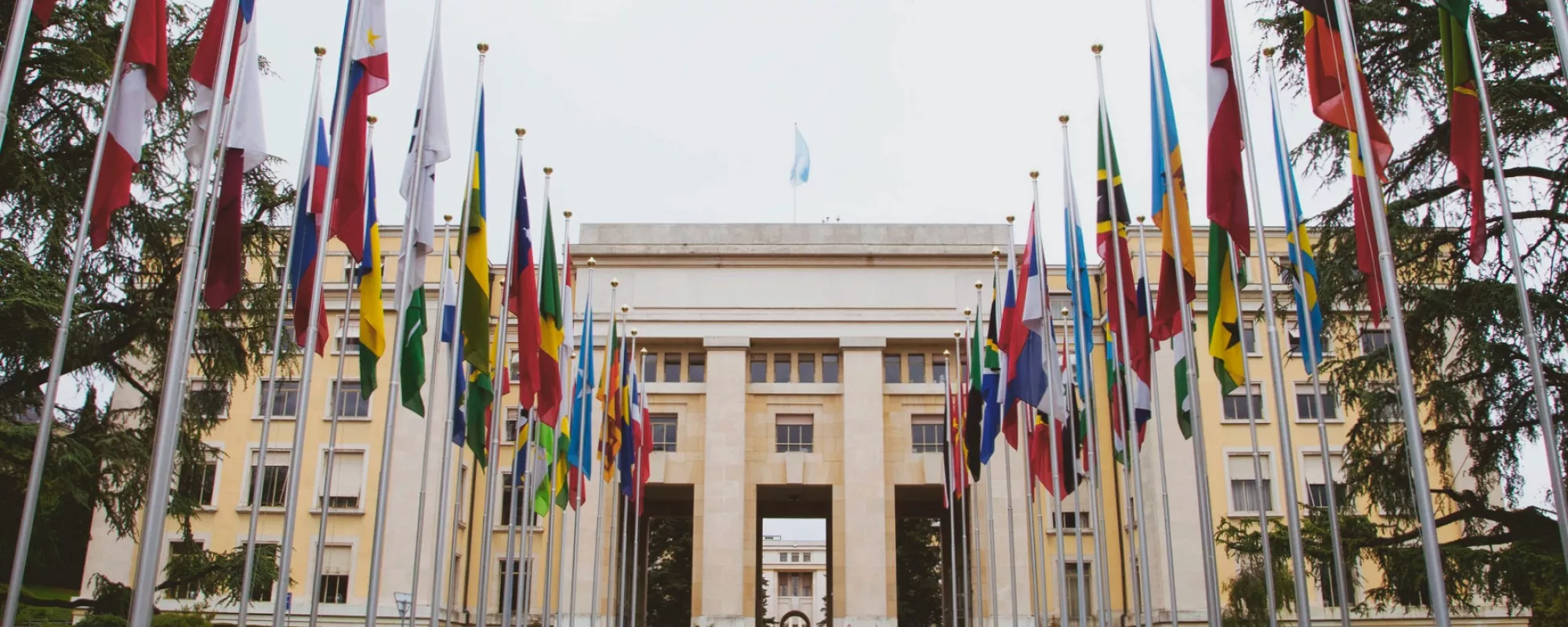Urgent Need to Reinforce the UN Treaty Bodies | OVD-Info