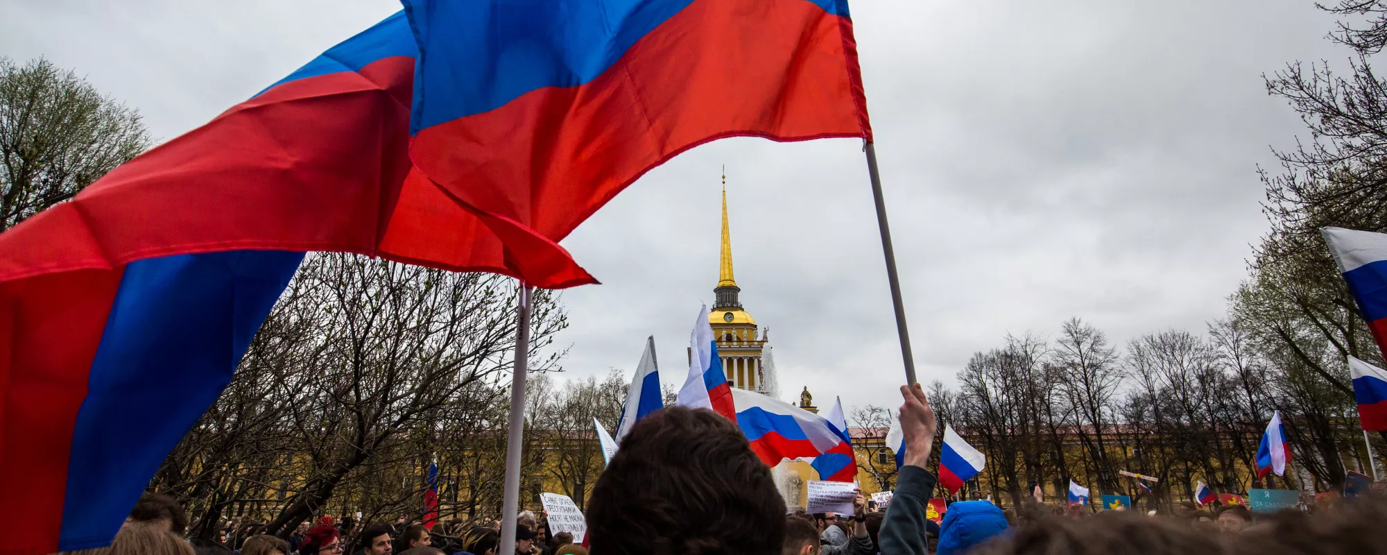Оттоптались на кизильщике: с петербургских оппозиционеров требуют 11 миллионов за цветы