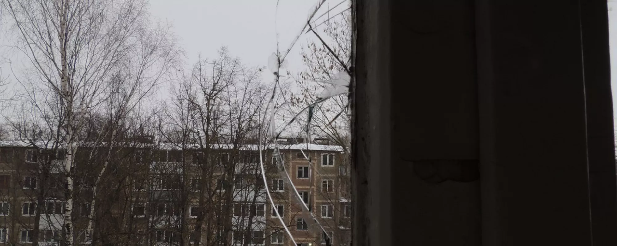 Активистка штаба Навального в Смоленске рассказала, что ей стреляли в окно