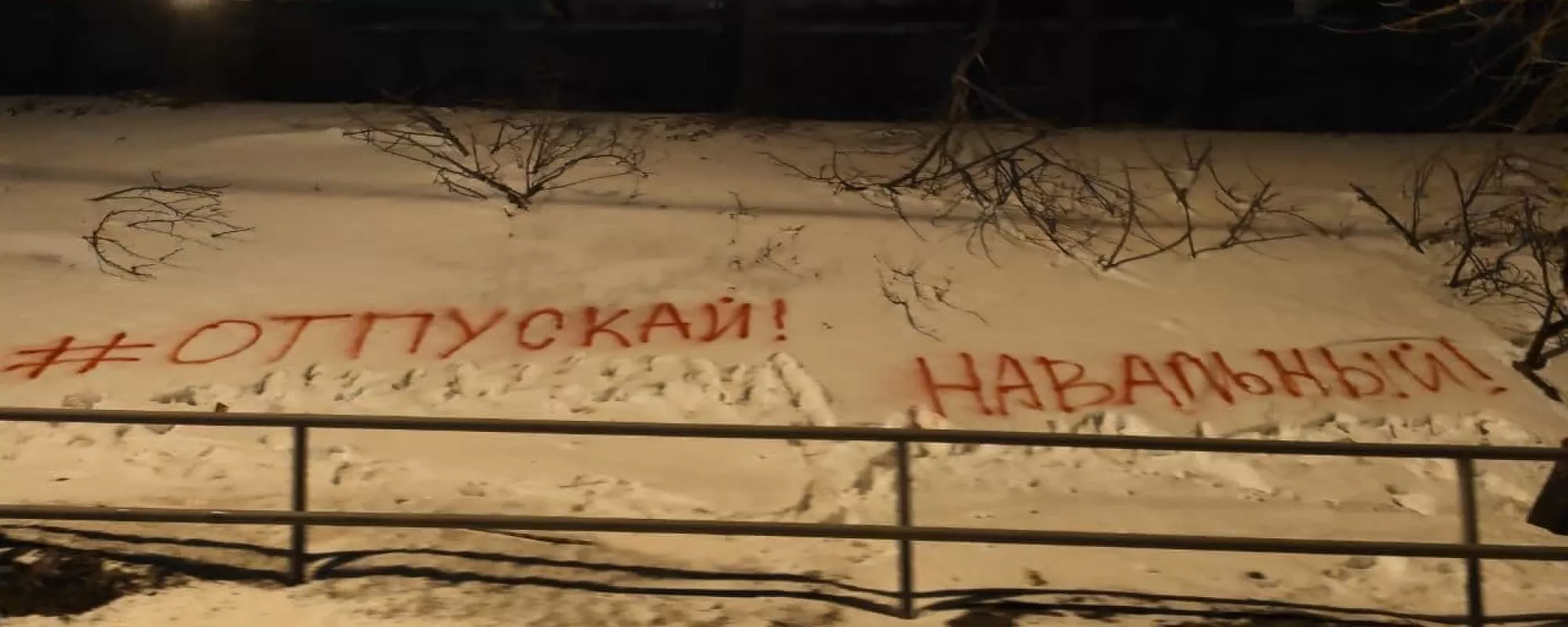 Активистов из Владивостока задержали за надпись в поддержку Навального на снегу