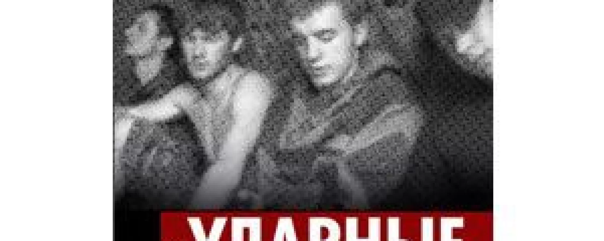Бинарная оппозиция