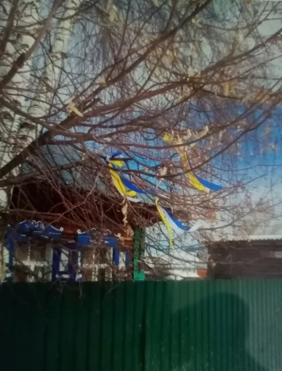 Ribbons in the colors of the Ukrainian flag in Elena Unuchakova’s garden, Altai Republic/ Photo: Baza