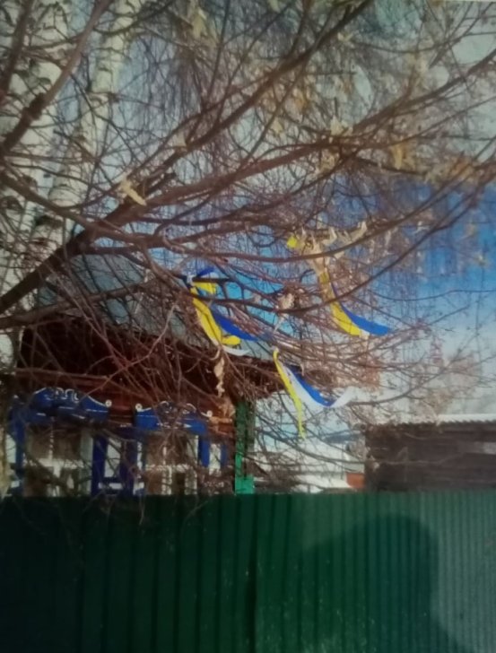 Ribbons in the colors of the Ukrainian flag in Elena Unuchakova’s garden, Altai Republic/ Photo: Baza