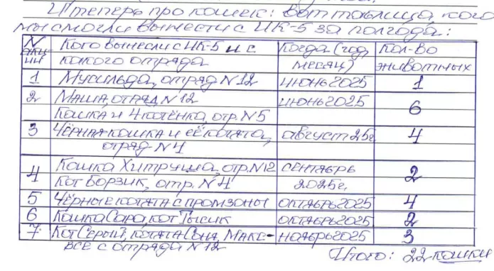 Table with names of rescued cats / Photo: OVD-Info