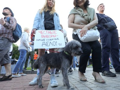 Единый день голосования 2022 года. Хроника предвыборного давления