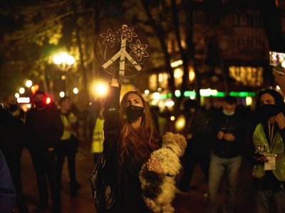      Unresolved Freedom of Assembly Issues in Russia in 2020
    