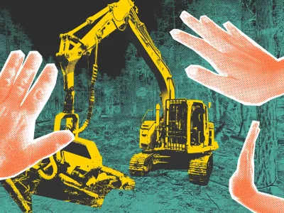  «Настало время вернуть долги природе»: как активисты «реполитизируются» через защиту своих лесов 