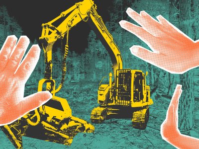 «Настало время вернуть долги природе»: как активисты «реполитизируются» через защиту своих лесов