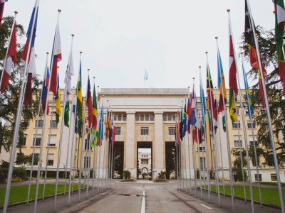      Urgent Need to Reinforce the UN Treaty Bodies
    