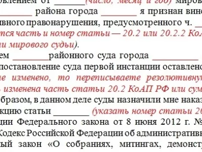  Опубликован типовой документ для обжалования штрафов за участие в митингах 