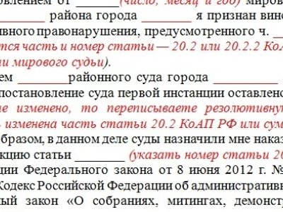 Опубликован типовой документ для обжалования штрафов за участие в митингах