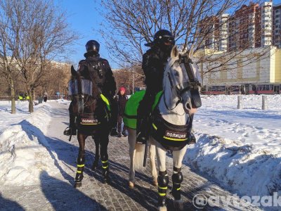 Список задержанных в связи с судом над Алексеем Навальным 2 февраля 2021 года