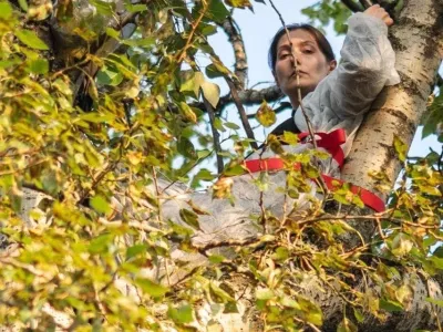 Дело экоактивистки Ольги Кузьминой, протестовавшей на дереве с арбалетом против стройки