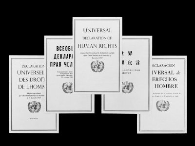      Human Rights and New Technology in Russia
    