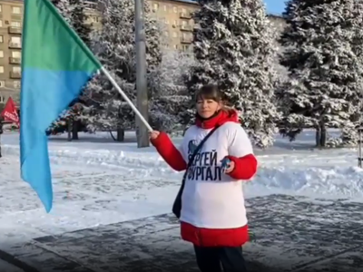 Дело новосибирской активистки Яны Дробноход по «дадинской» статье
