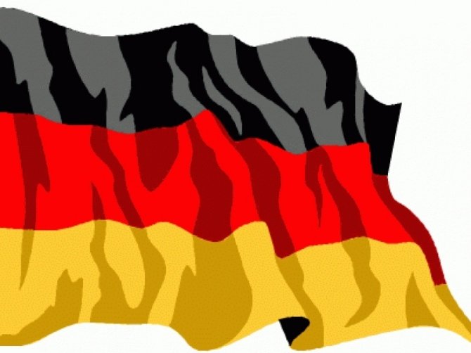 Тюрьма за немецкий флаг