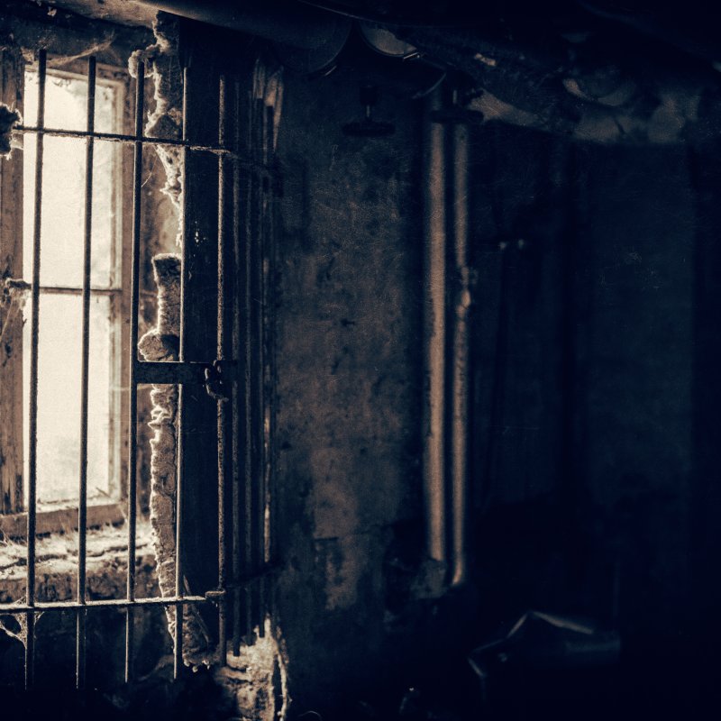 Данные ОВД-Инфо | ОВД-Инфо